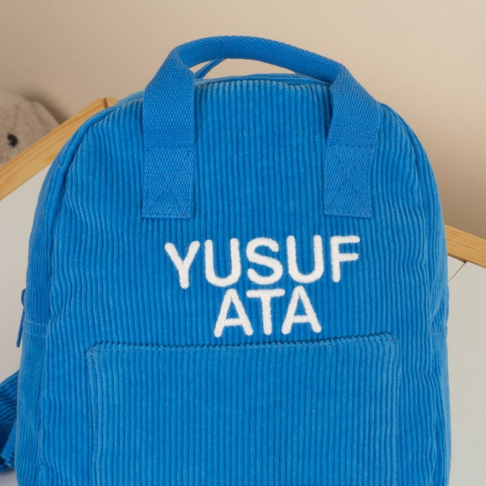Blue Velvet Bag