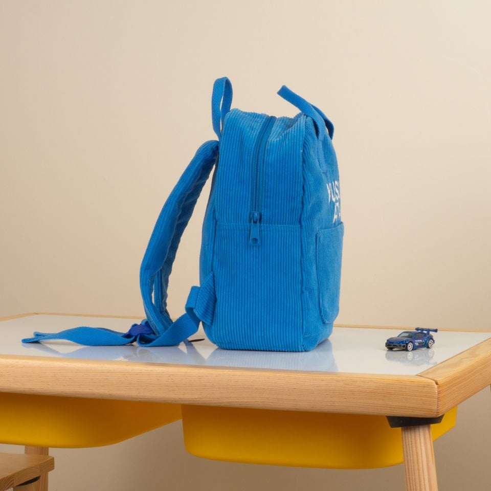 Blue Velvet Bag